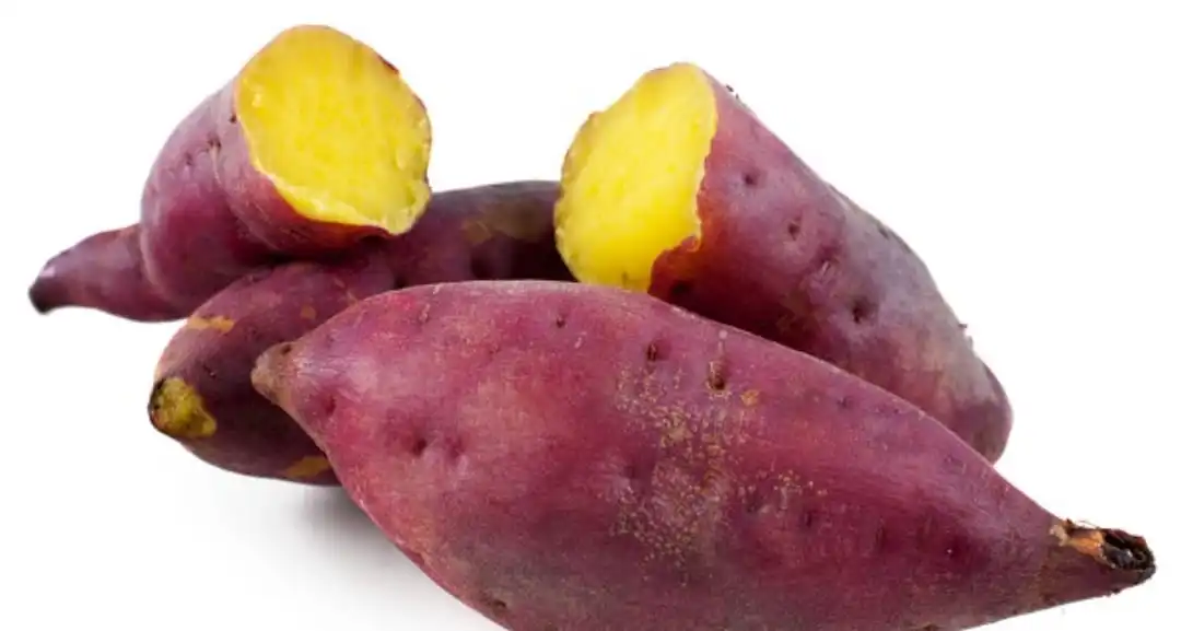 El camote es un tubérculo color morado intenso, también conocido como batata, es un ingrediente muy versátil y nutritivo en la cocina de Costa Rica