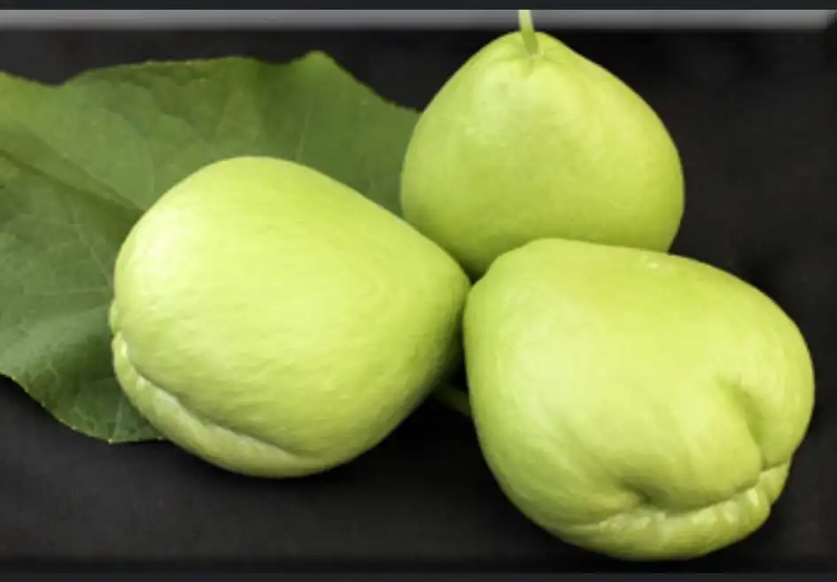El chayote es una cucurbitácea que se explota principalmente por su fruto, pero también por su raíz. Actualmente es la hortaliza de exportación que produce mayor cantidad de divisas al país